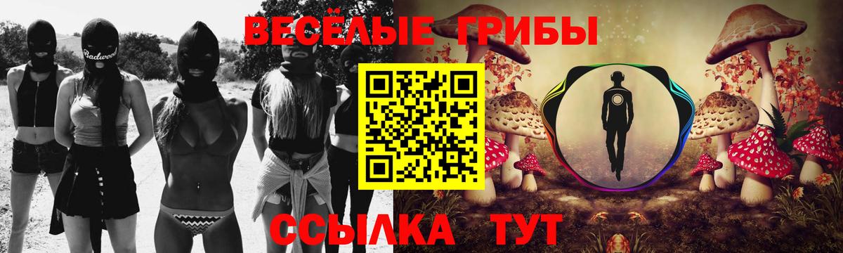 Псилоцибиновые грибы мицелий Алексин