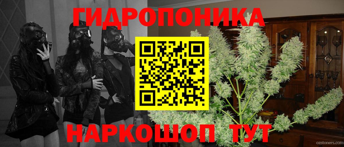 Марихуана семена  Вход с VPN  Алексин  Каннабис индика  Канабис гибрид  МАРИХУАНА OG Kush 